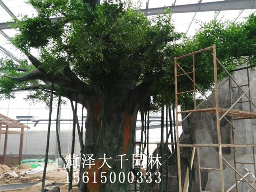 點擊查看詳細信息<br>標題：假樹 閱讀次數：1473