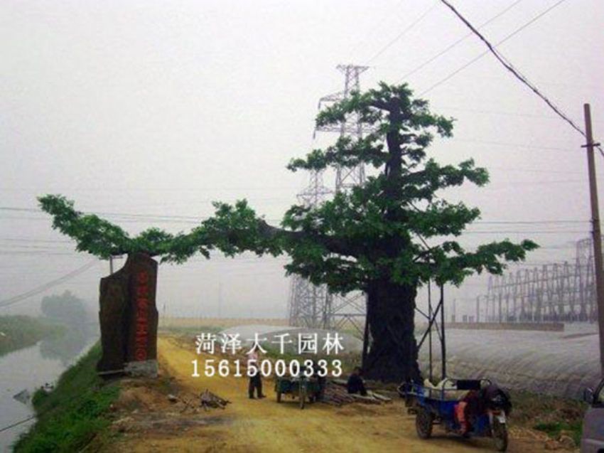 點(diǎn)擊查看詳細(xì)信息<br>標(biāo)題：假樹 閱讀次數(shù)：1379