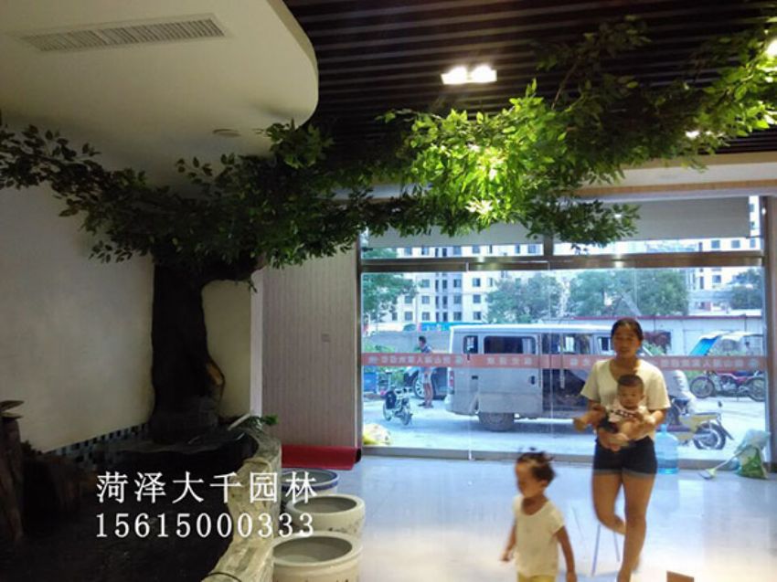 點(diǎn)擊查看詳細(xì)信息<br>標(biāo)題：假樹 閱讀次數(shù)：1427