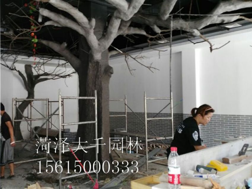 點擊查看詳細信息<br>標題：假樹 閱讀次數：1409