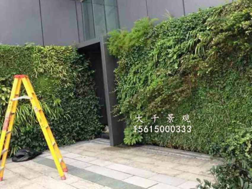 點擊查看詳細信息<br>標題：綠植墻 閱讀次數(shù)：1560