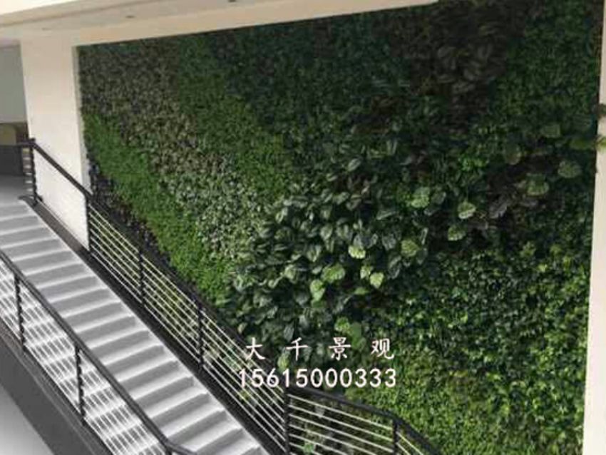 點擊查看詳細信息<br>標題：綠植墻 閱讀次數(shù)：1711