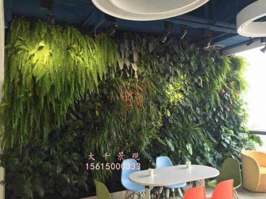 點擊查看詳細信息<br>標題：綠植墻 閱讀次數(shù)：1998