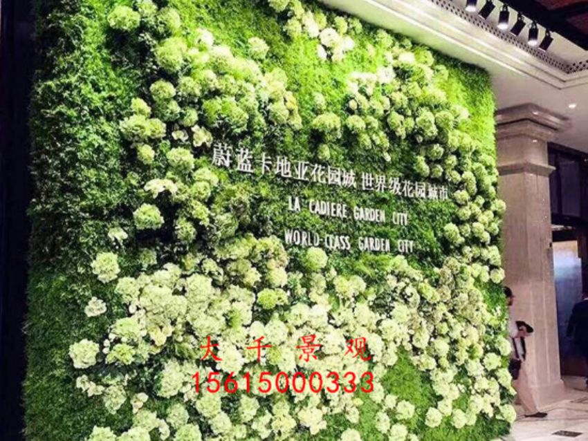 點擊查看詳細信息<br>標題：綠植墻 閱讀次數(shù)：2115