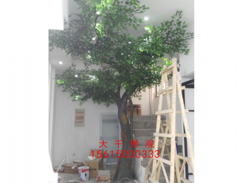 點擊查看詳細信息<br>標題：瓷磚磁瓦 閱讀次數：2386