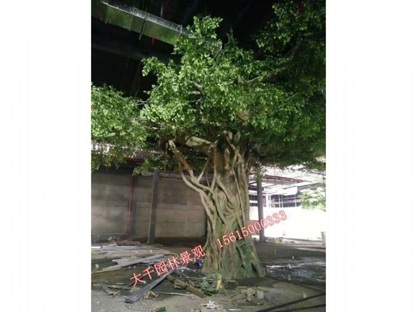 點(diǎn)擊查看詳細(xì)信息<br>標(biāo)題：假樹(shù) 閱讀次數(shù)：2521