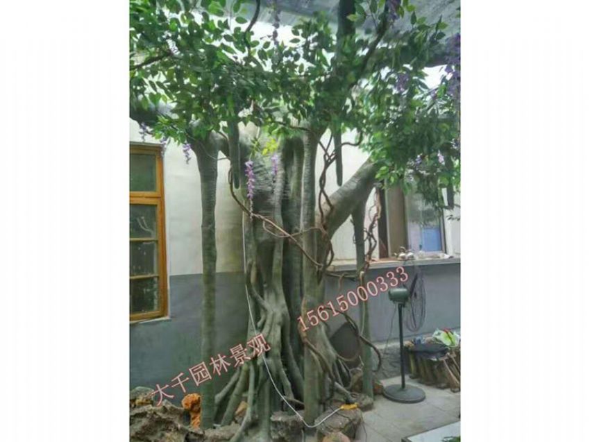 點(diǎn)擊查看詳細(xì)信息<br>標(biāo)題：假樹(shù) 閱讀次數(shù)：2577