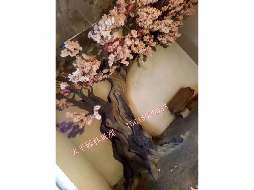 點(diǎn)擊查看詳細(xì)信息<br>標(biāo)題：假樹(shù) 閱讀次數(shù)：2547