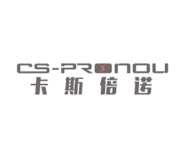 JY-SP12JY-SP12型-水平電泳槽